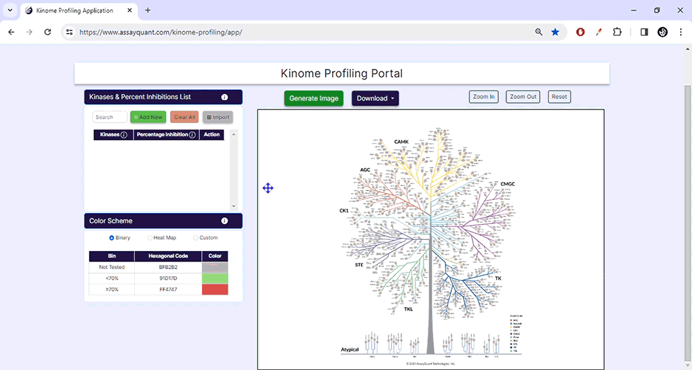 Kinome Tree Mapping Application AssayQuant Kinome tree mapping application assayquant